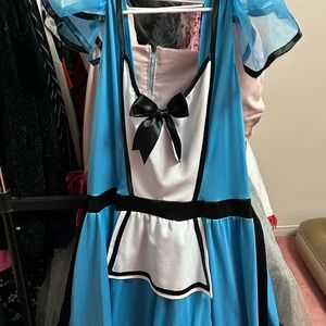 Alice in wonderland costume
